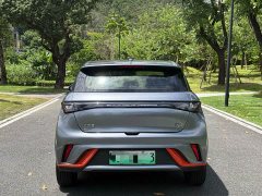 BYD 405km Fashion Edition - ფოტო 8
