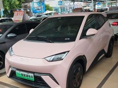 BYD Edition 305km Edition - ფოტო 1