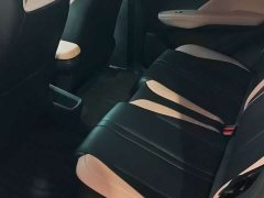 BYD Edition 305km Edition - ფოტო 10