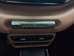 BYD Edition 305km Edition - ფოტო 12
