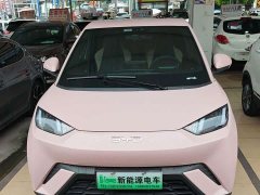 BYD Edition 305km Edition - ფოტო 2