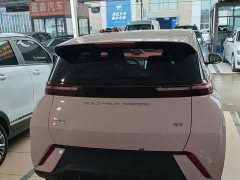 BYD Edition 305km Edition - ფოტო 3