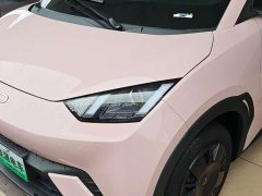 BYD Edition 305km Edition - ფოტო 4