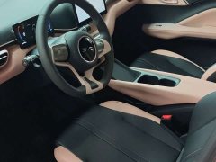 BYD Edition 305km Edition - ფოტო 8