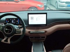 BYD Edition 305km Edition - ფოტო 9