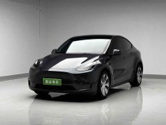 Tesla Model Y Long Range Edition 3D7 - ფოტო 1