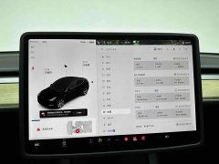 Tesla Model Y Long Range Edition 3D7 - ფოტო 17