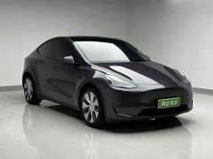 Tesla Model Y Long Range Edition 3D7 - ფოტო 3