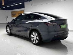 Tesla Model Y Long Range Edition 3D7 - ფოტო 4