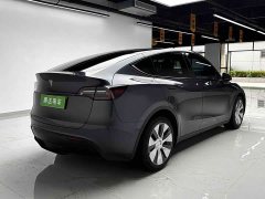 Tesla Model Y Long Range Edition 3D7 - ფოტო 6