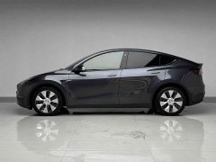 Tesla Model Y Long Range Edition 3D7 - ფოტო 7