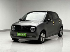 Ora 301km Edition - photo 1