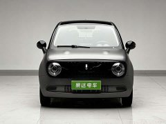 Ora 301km Edition - photo 2