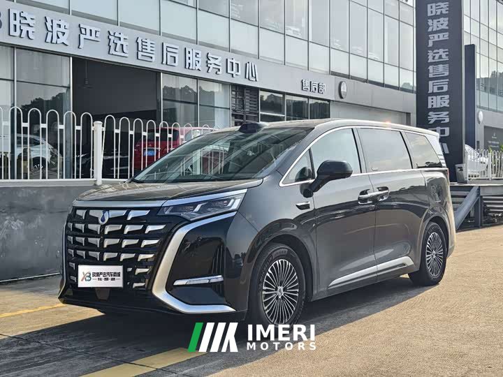 Denza D9 DM-i AWDPremium Version - car from China