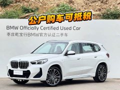 BMW X1 xDrive25Li M - ფოტო 2