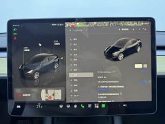 Tesla Model Y Edition - ფოტო 15