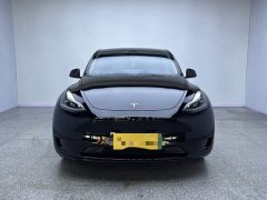 Tesla Model Y Edition - ფოტო 2