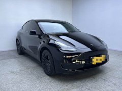 Tesla Model Y Edition - ფოტო 3