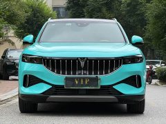 Voyah FREE AWDEREVLuxury - ფოტო 1