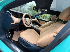 Voyah FREE AWDEREVLuxury - ფოტო 8