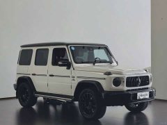 Mercedes-Benz G 400 d - ფოტო 3