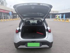 Leapmotor smart#1 Pro Edition - ფოტო 10