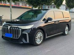 Voyah PHEV Ultra Long RangePremium Edition - ფოტო 1