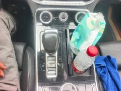 FAW H9 2.0T Edition - ფოტო 16