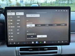 Voyah 7 200KM2WDMax Edition - ფოტო 17