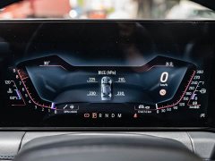 BMW Mustang 5.0L V8 Dark Horse - ფოტო 12