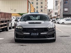 BMW Mustang 5.0L V8 Dark Horse - ფოტო 2