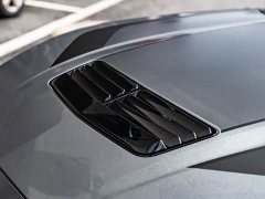 BMW Mustang 5.0L V8 Dark Horse - ფოტო 8