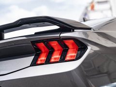 BMW Mustang 5.0L V8 Dark Horse - ფოტო 9