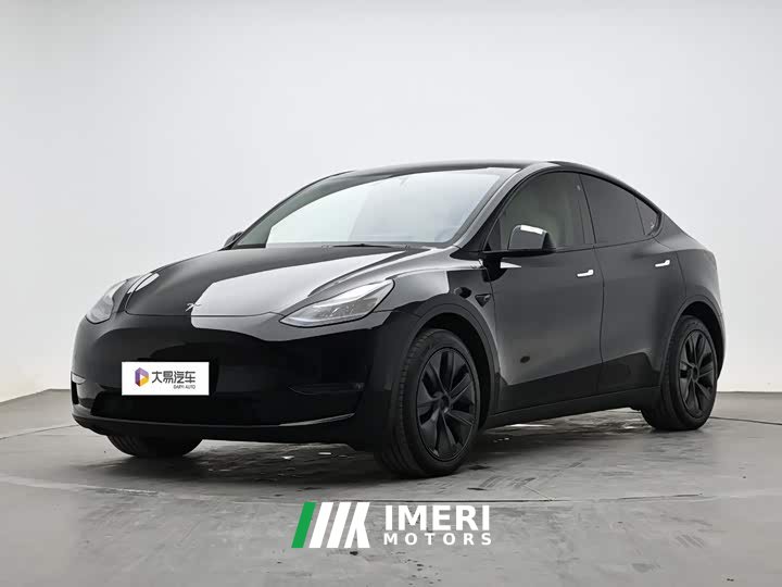 Tesla Model Y Long Range Edition - car from China