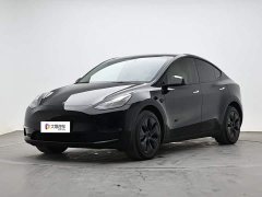 Tesla Model Y Long Range Edition - photo 1