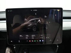 Tesla Model Y Long Range Edition - photo 11