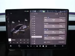 Tesla Model 3 Performance Edition - ფოტო 12