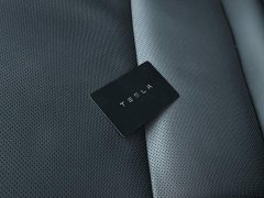 Tesla Model 3 Performance Edition - ფოტო 7