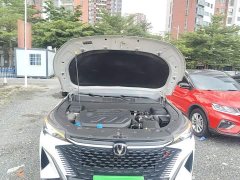 Changan X5 PLUS 1.5T DCT Version - ფოტო 16