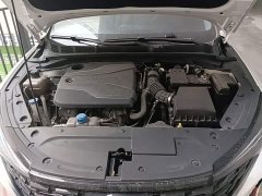 Changan PLUS NE 1.4T GDI DCT Edition - ფოტო 20