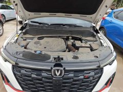 Changan CS35PLUS Edition 1.4T DCTPremium Version - ფოტო 20