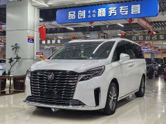 Buick GL8 ES Deluxe Version - ფოტო 1
