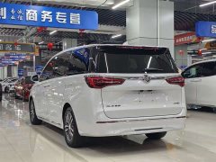 Buick GL8 ES Deluxe Version - ფოტო 9