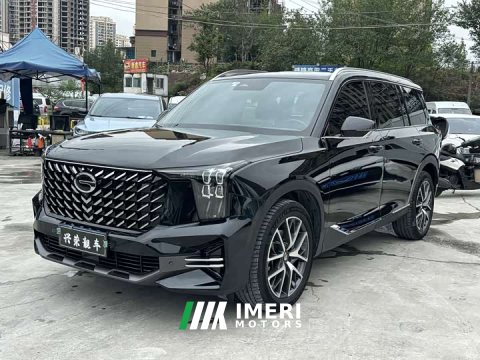 2024 GAC GS8 2.0TGDI 2WDLuxury Edition 7 - ავტომობილი ჩინეთიდან