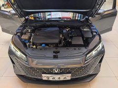Changan 1.5T GDI Premium Version - ფოტო 18