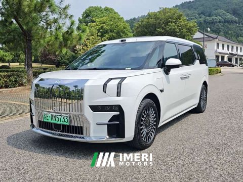 2025 Zeekr 009 EditionAWD 108kWh - ავტომობილი ჩინეთიდან