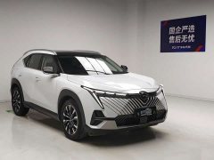 Zeekr 1.5T Pro Edition - ფოტო 3