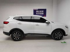 Haval H6 Edition 1.5T Edition - ფოტო 7