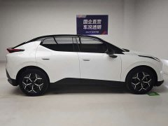 Lynk & Co Z20 530km Pro - ფოტო 7
