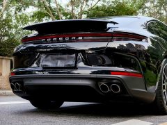 Porsche Panamera 2.9T - ფოტო 6